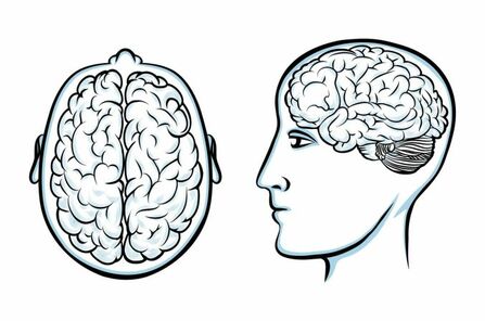 Erfolgreiche Studienplatzklage Psychologie durch Teipel & Partner im Wintersemester 2018/2019.